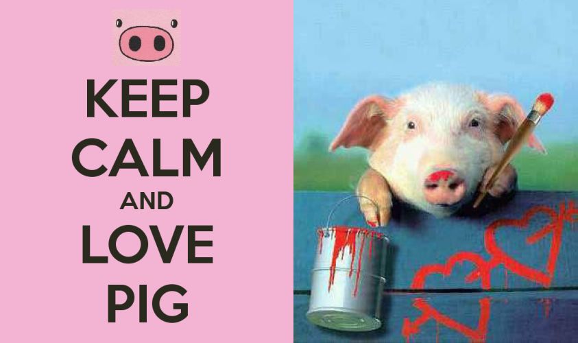 love pigs